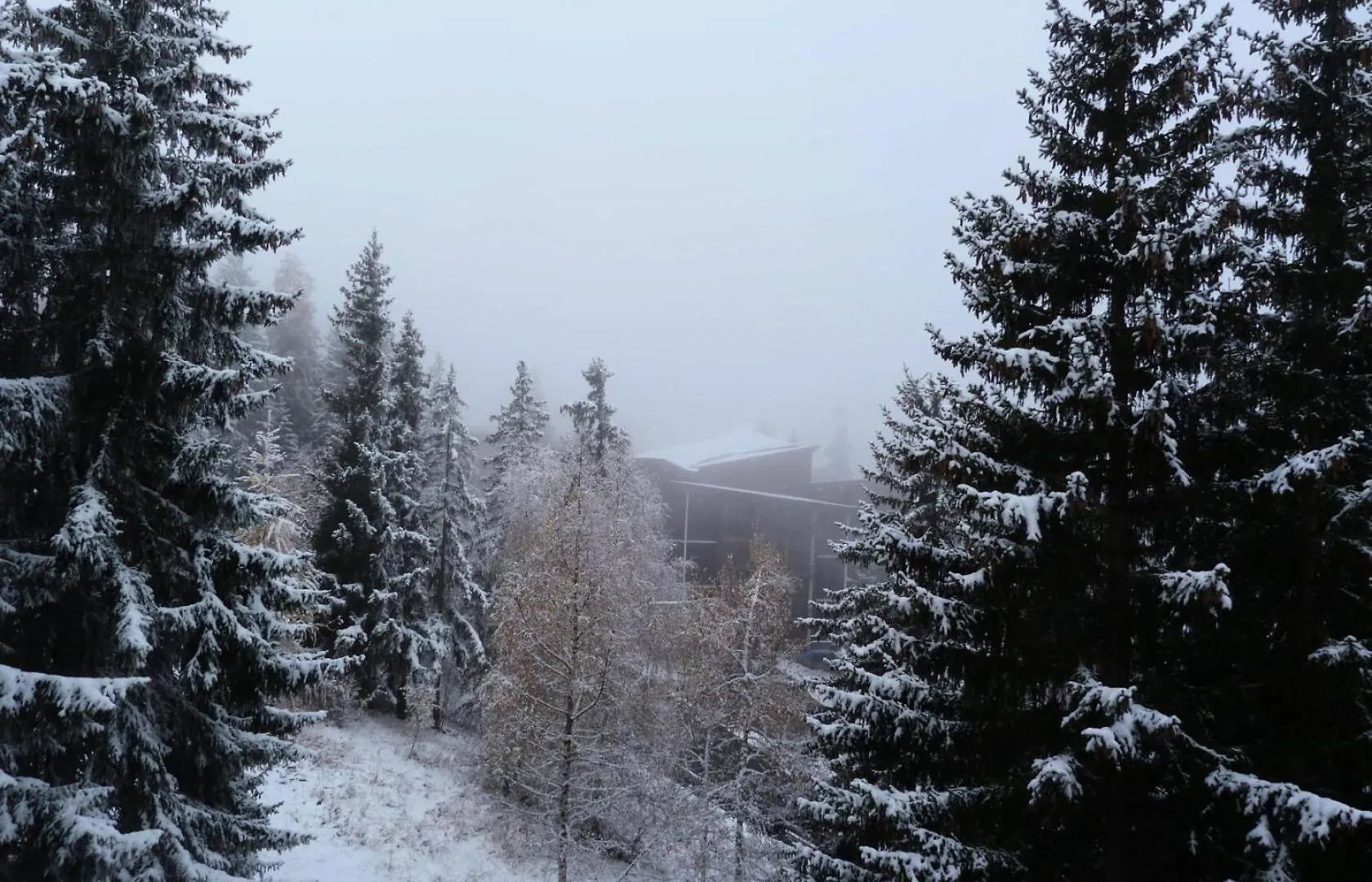 Residence Archeboc - Appartement 2 Pieces / 5 Personnes A Arc 1800 Proche Des Pistes Dans Le Village De Charmettoger Mae-1733 Les Arcs  Apartment